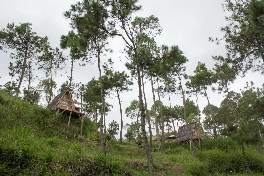 Papandayan Camping Ground Hotell Cileuleuy Exteriör bild