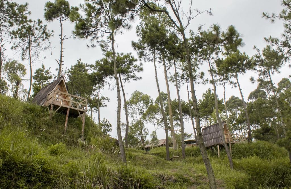Papandayan Camping Ground Hotell Cileuleuy Exteriör bild