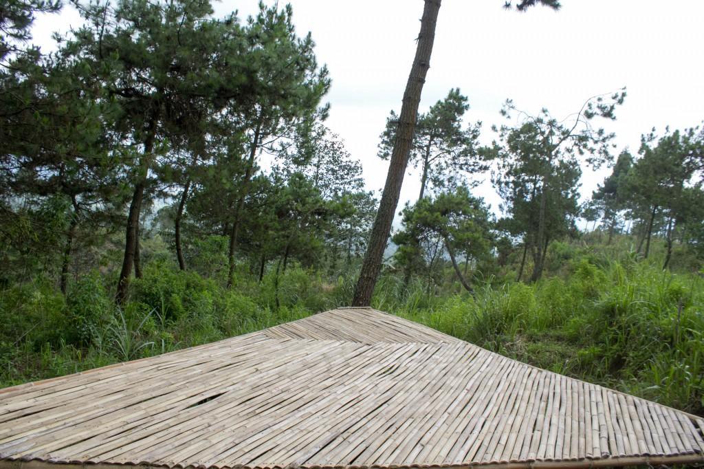 Papandayan Camping Ground Hotell Cileuleuy Exteriör bild