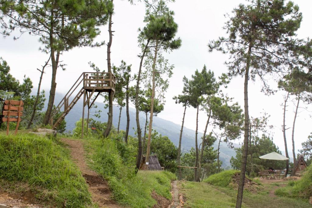 Papandayan Camping Ground Hotell Cileuleuy Exteriör bild