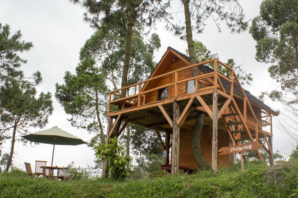 Papandayan Camping Ground Hotell Cileuleuy Exteriör bild