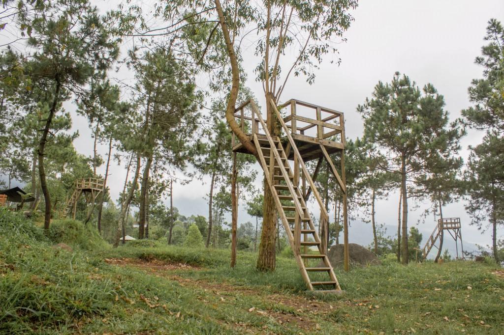 Papandayan Camping Ground Hotell Cileuleuy Exteriör bild