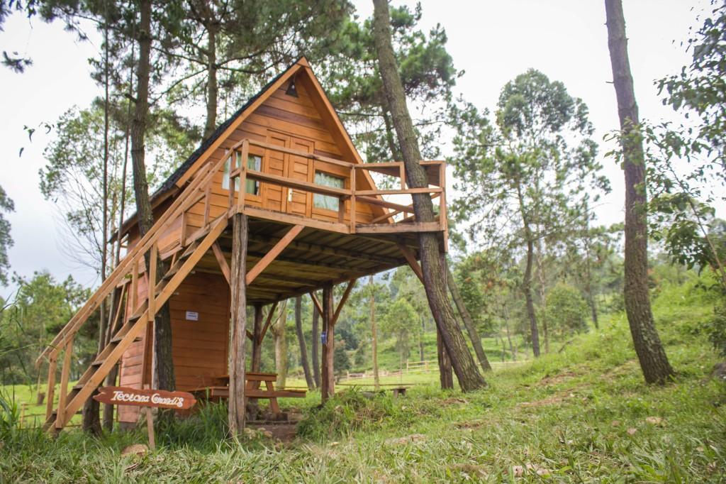 Papandayan Camping Ground Hotell Cileuleuy Exteriör bild