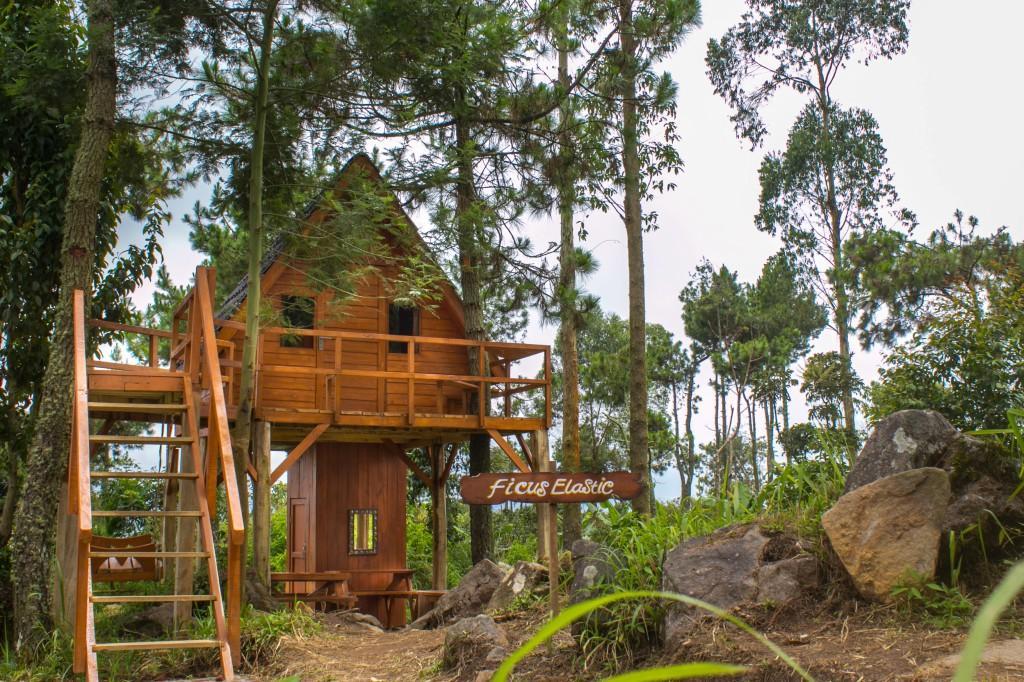 Papandayan Camping Ground Hotell Cileuleuy Exteriör bild