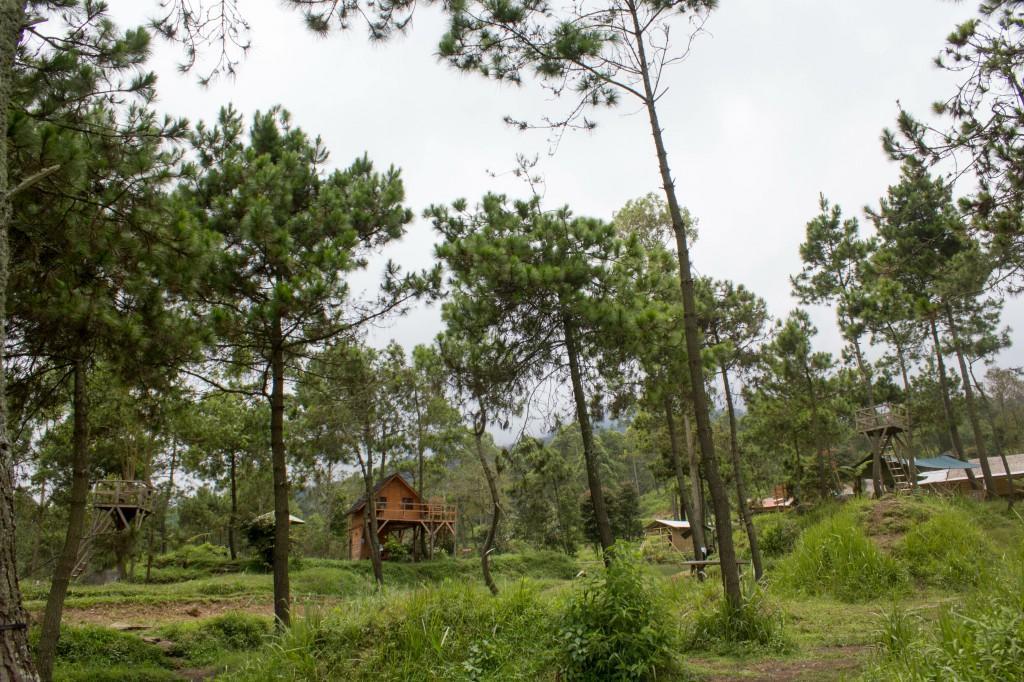 Papandayan Camping Ground Hotell Cileuleuy Exteriör bild
