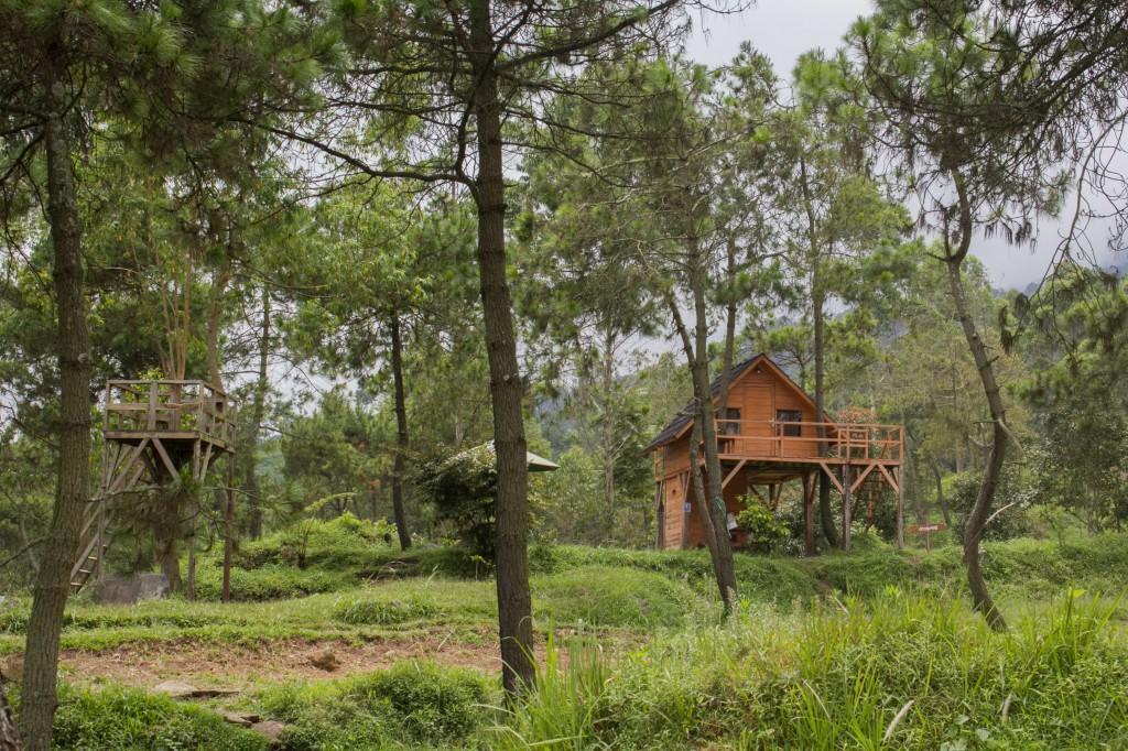 Papandayan Camping Ground Hotell Cileuleuy Exteriör bild