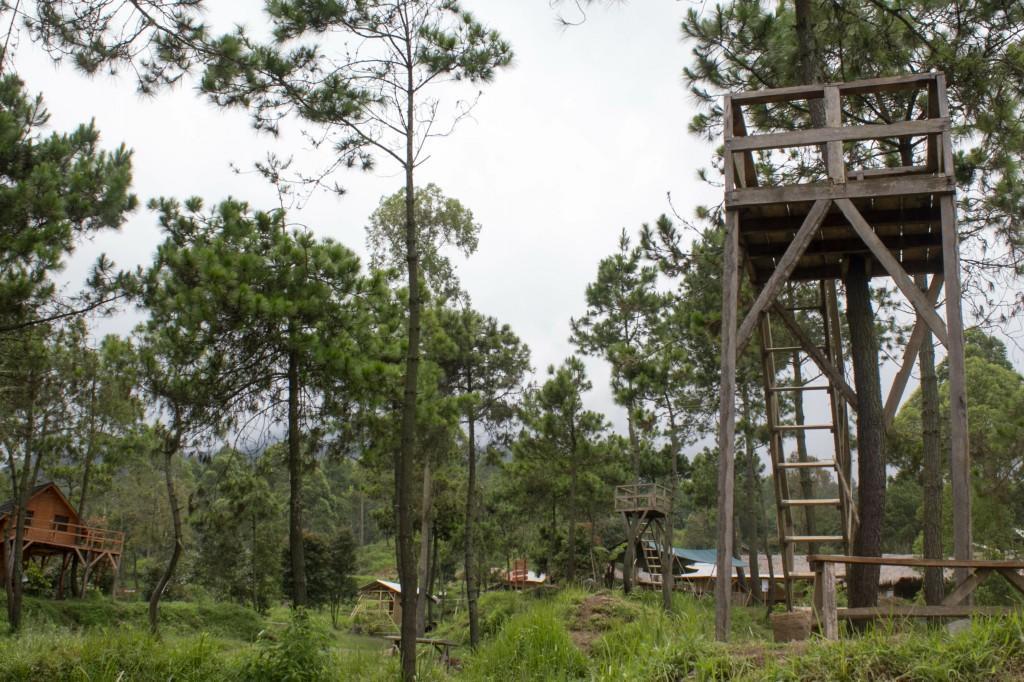 Papandayan Camping Ground Hotell Cileuleuy Exteriör bild