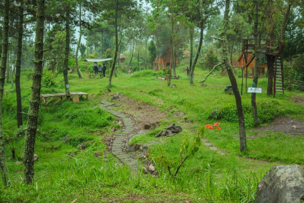 Papandayan Camping Ground Hotell Cileuleuy Exteriör bild